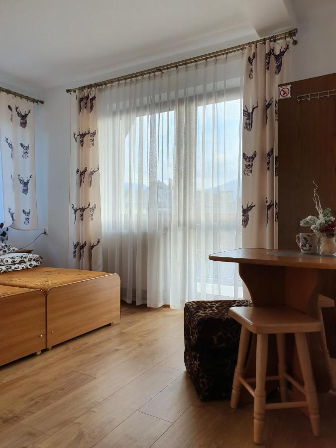Podhalanskie Zacisze ザコパネ エクステリア 写真